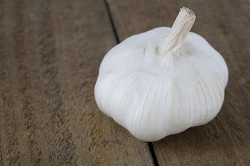 Garlic bulb