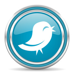 Obraz premium twitter icon