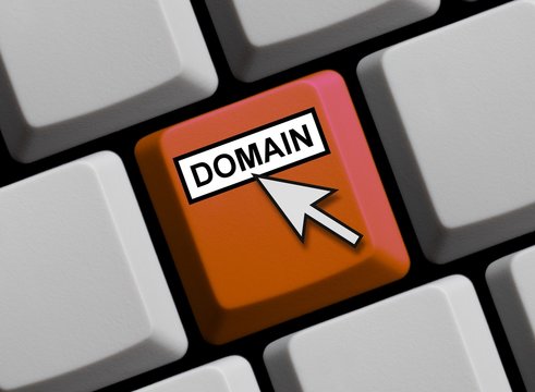 Online Domain