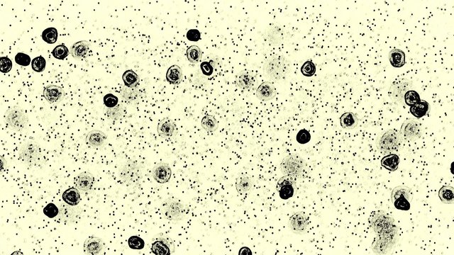 Plankton microscope view (high definition, seamless loop). Great microbiology looped background.