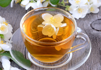 Cup of herbal tea with jasmine flowers