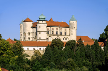 Fototapeta na wymiar Castle in Wisnicz, Poland