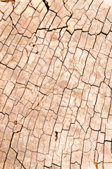 Pattern of wood.
