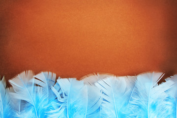 Decorative background from feathers.
