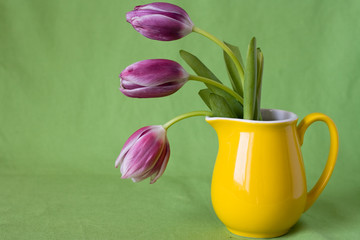 Delicate bouquet of purple tulips in a yellow jug