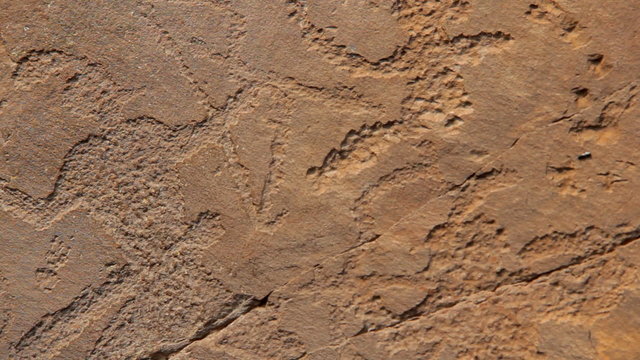 Ancient rock paintings of Khakassia