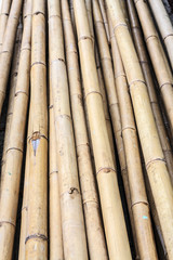 Pile of bamboo wood