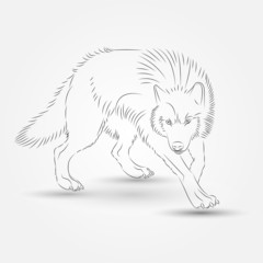 Silhouette of Wolf in Vector illustration