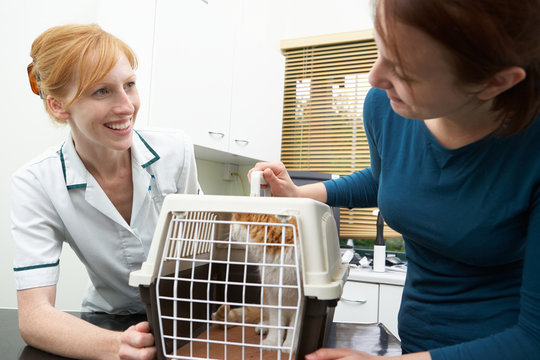 Owner Taking Cat To Vets In Carrier