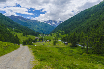 Fototapeta na wymiar The road in the Alps mountains Italy summer