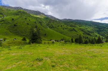 Fototapeta na wymiar View of the Alps in Italy in summer
