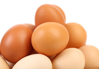 Several eggs isolated