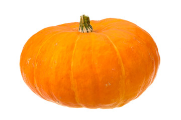 Ripe pumpkin