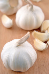 Garlic on the wooden background