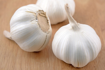 Garlic on the wooden background