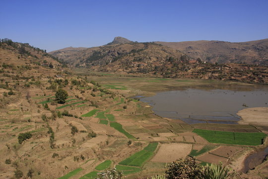 paysages de rizi&egrave;res en terrasses