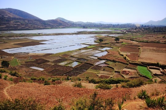 agriculture et irrigation