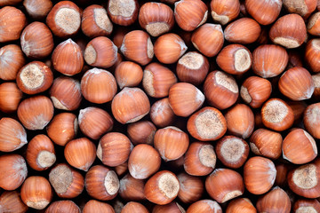Hazelnut background