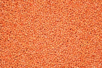 Red raw lentil texture as background
