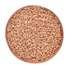 Wheat grains in a wooden bowl on a white background
