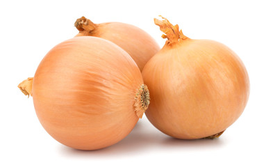 Fototapeta premium Fresh bulbs of onion on a white background