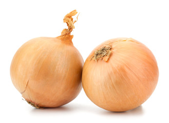 Fresh bulbs of onion on a white background