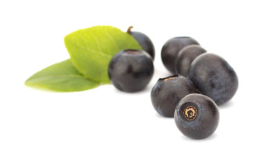 Fresh blueberries isolated on white background