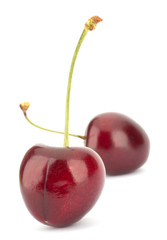 Cherry isolated on white background