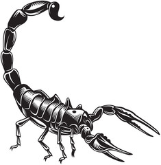 Scorpion, black and white style - obrazy, fototapety, plakaty