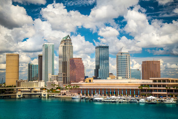 Tampa Florida skyline - obrazy, fototapety, plakaty