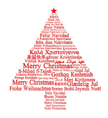 Obraz na płótnie Canvas Merry Christmas in different languages forming a Christmas tree