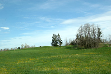 Farm feild in Summer