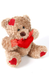 Brown Teddy Bear on White background