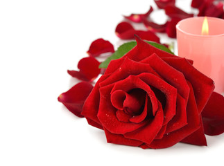 Rose and candle