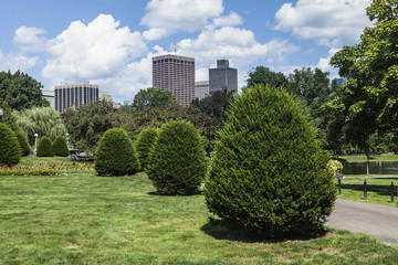 Boston Public Garden