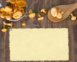 Chanterelles in sieve on wooden background. Space for your text