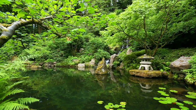 Japanes botanical zen garden