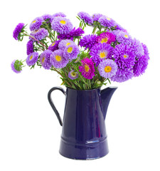 bouquet of violet aster flowers