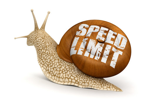 Speed Limit Snail (clipping path included)
