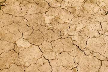 arid earth