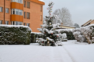 Winter in Riehen, Switzerland