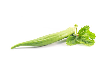 Okra isolated