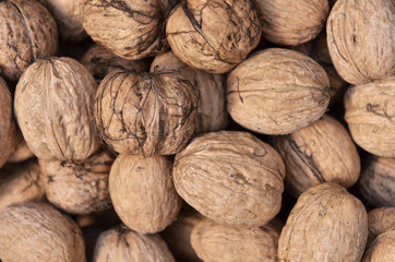 walnut background