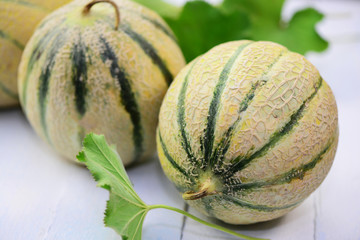 Melonen © Printemps