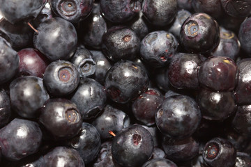 background of blueberries. macro