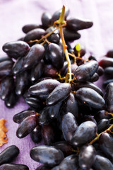 blue grapes