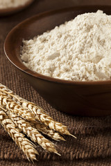 Organic Whole Wheat Flour