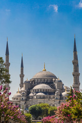The Blue Mosque, (Sultanahmet Camii), Istanbul, Turkey