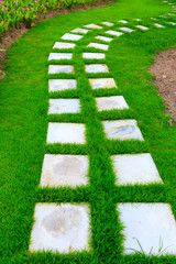 garden stone foot path with grass