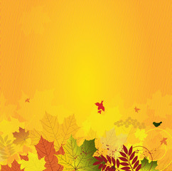 Fototapeta na wymiar autumn floral background